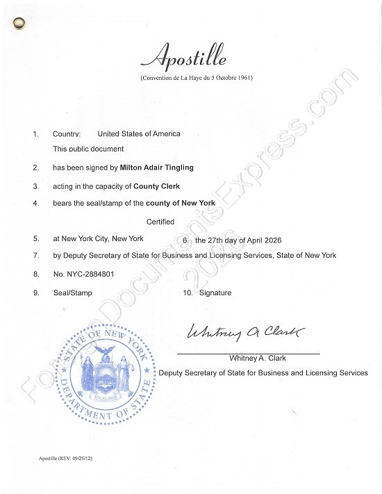 New York Hague apostille Hague apostille from New York